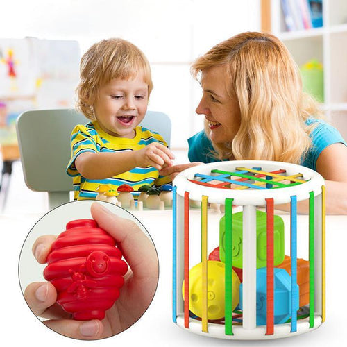Brinquedo Educativo de Seleção de Formas