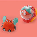 Relógio de Controle Remoto