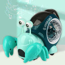 Vaquinha Dançarina e Caracol Musical